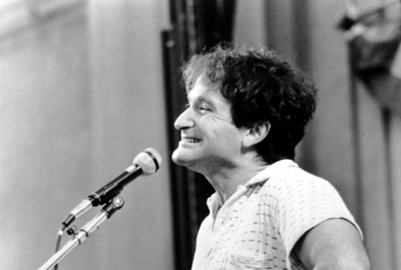 robin williams performing -